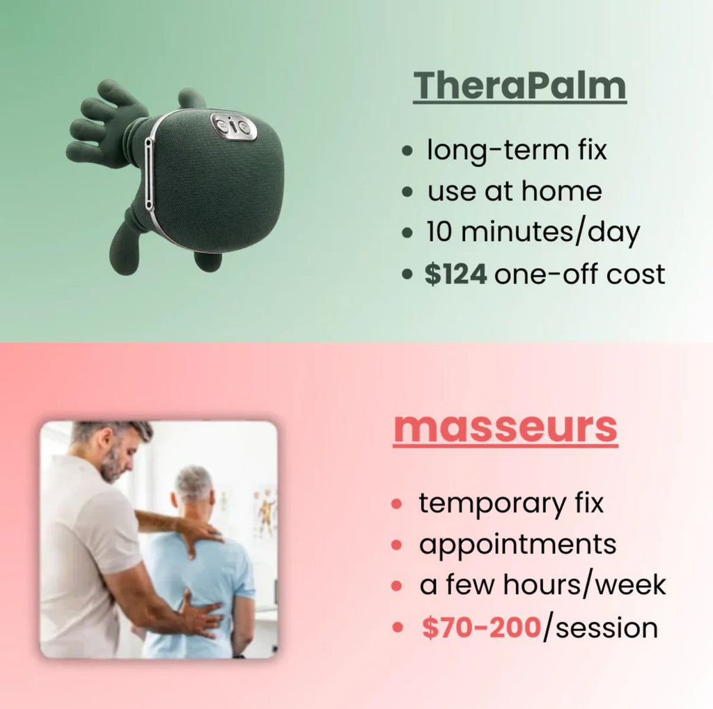 Pro Palmora Massager